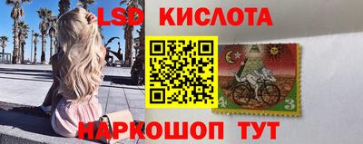 молекула духа Кулебаки