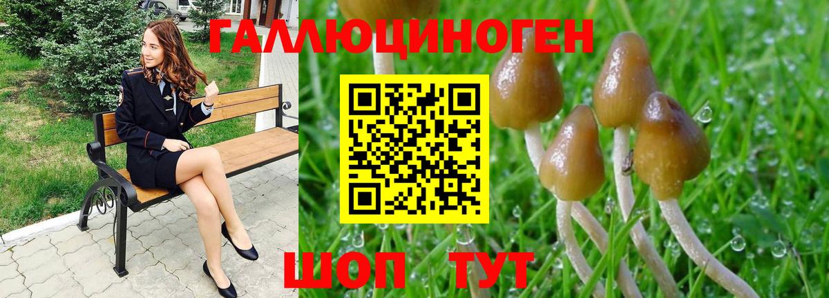Галлюциногенные грибы ЛСД Фрязино