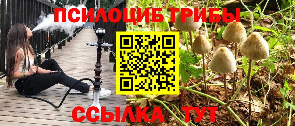 Галлюциногенные грибы Cubensis  Вход с VPN  Фрязино  Псилоцибиновые грибы мухоморы 
